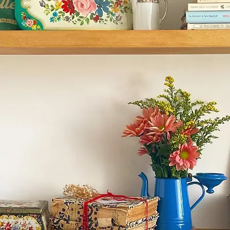 Casa Ginepro Via Mazzini Torino