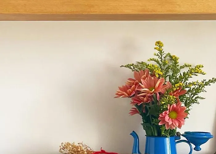 Casa Ginepro Via Mazzini Torino