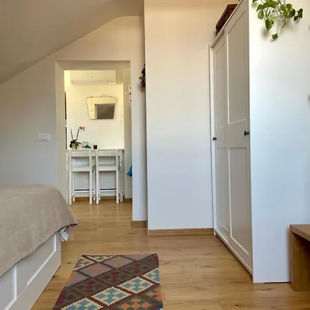 公寓 Casa Ginepro Via Mazzini 都灵